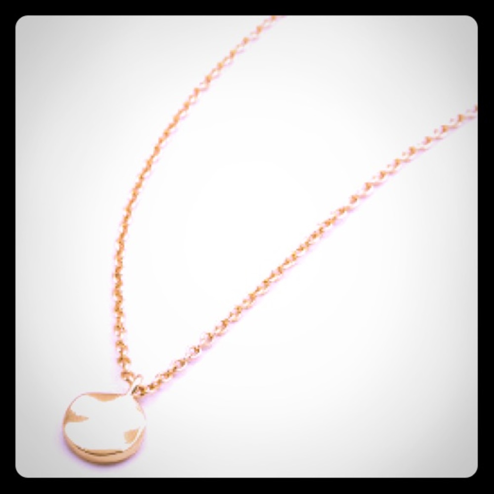 BNWT Gorjana Chloe Adjustable Necklace